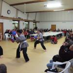 Demonstration from the Kung Fu School 