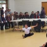 Master Song Kung Fu Demonstration